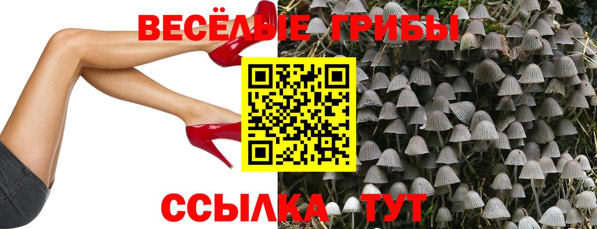 Псилоцибиновые грибы мухоморы Пенза
