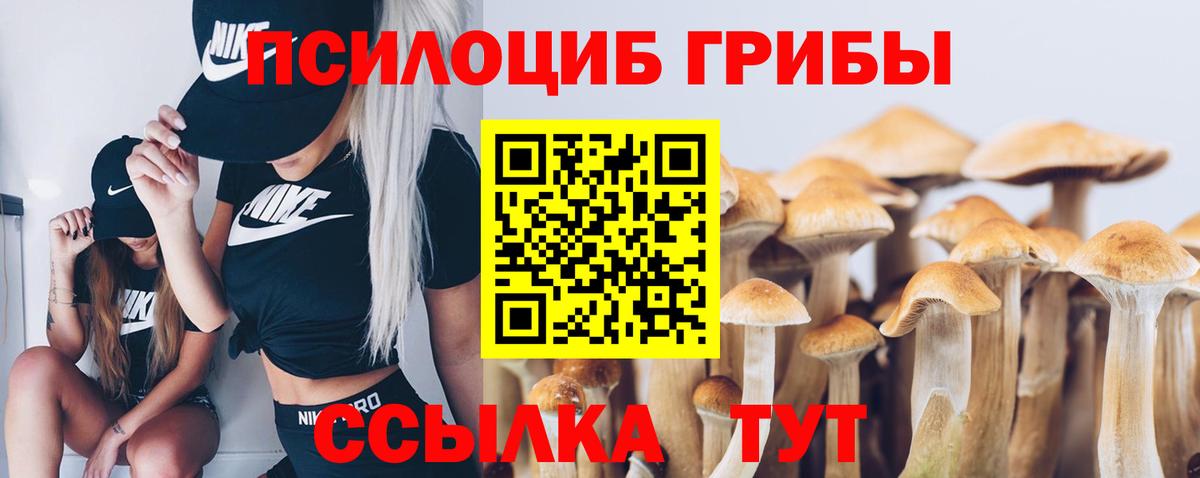 Пенза  Псилоцибиновые грибы MAGIC MUSHROOMS  Галлюциногенные грибы MAGIC MUSHROOMS  Вход с VPN 